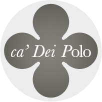 Ca' Dei Polo – English – B&B in Venice